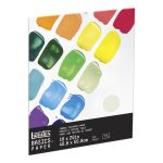 Liquitex Basics Canvas Textured Paper 16x20