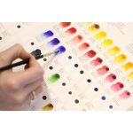 Winsor & Newton Professional Watercolour Dot Card Colour Chart