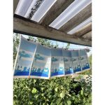 Winsor & Newton Designers Gouache Seascape Set 5x14ml Tubes