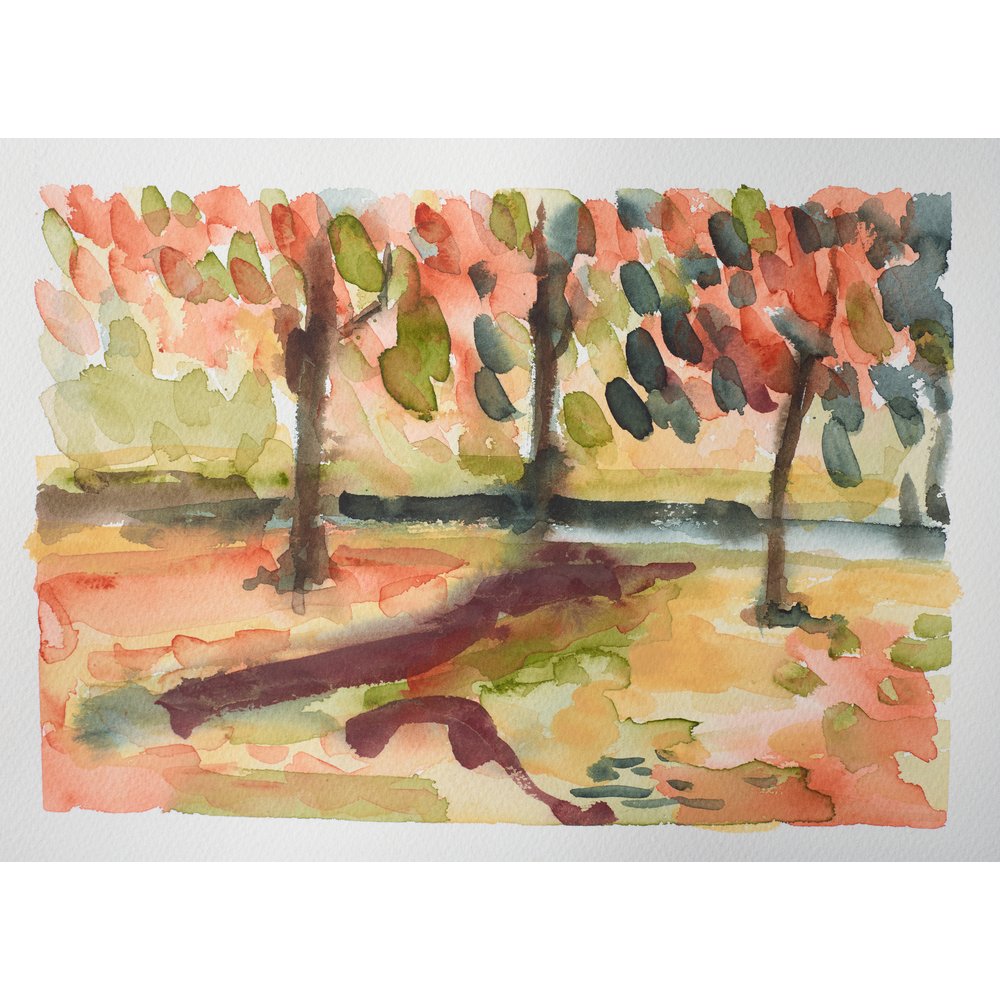 Winsor & Newton Professional Watercolour Rich Earth Set 6x5ml Tubes