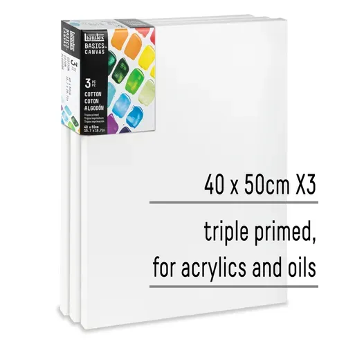 Liquitex Basics Set of 3 Cotton Canvas 40x50cm