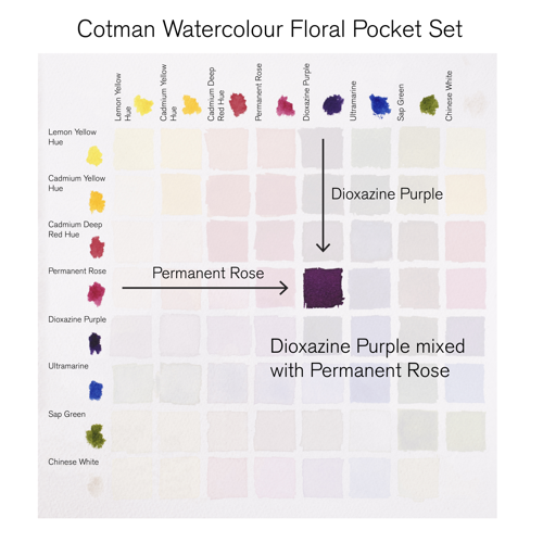Winsor & Newton Cotman Watercolour Floral Pocket Set