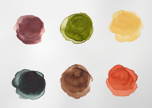 Winsor & Newton Professional Watercolour Rich Earth Set 6x5ml Tubes