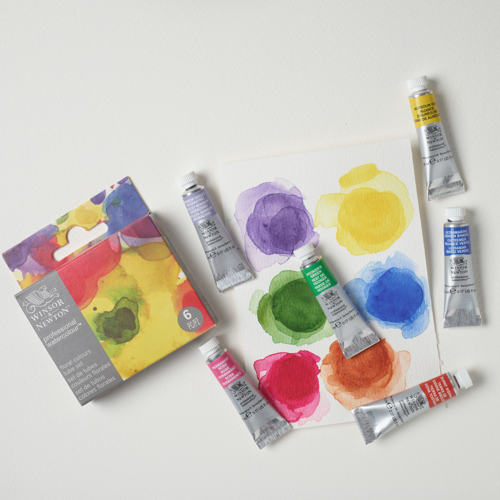 Winsor & Newton Professional Watercolour Floral Set 6x5ml Tubes