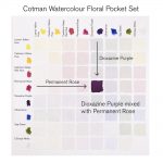 Winsor & Newton Acuarela Cotman Set Bolsillo Floral 8x1/2 Godets