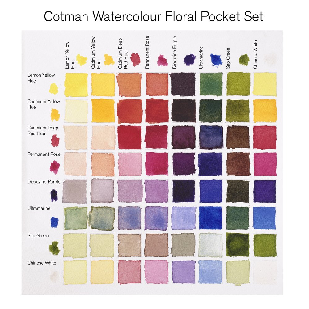 Winsor & Newton Acuarela Cotman Set Bolsillo Floral 8x1/2 Godets