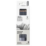 Winsor & Newton Studio Collection Surtido 6 Carboncillos