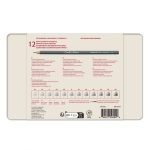 Conté à Paris Lápiz Grafito Caja de Metal Surtido x12