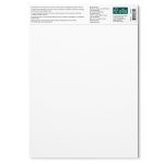 Winsor & Newton Papel Pastel Bloc 6 Colores Tierra 160G A4 24 Hojas