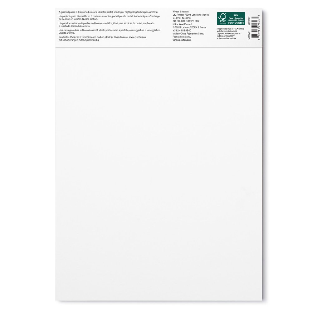 Winsor & Newton Papel Pastel Bloc 6 Colores Grises 160G A4 24 Hojas