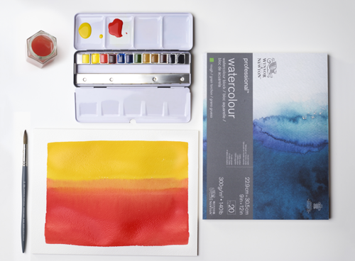 Winsor & Newton Acuarela Profesional Caja Metal Black Box 12x1/2 Godets