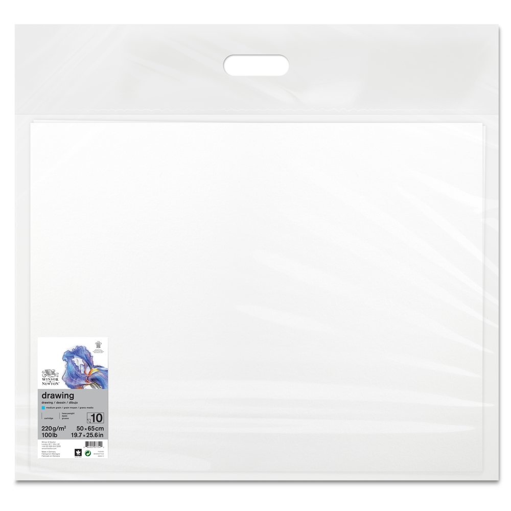 Winsor & Newton Papier Dessin Feuille Grain Moyen 220g 50x65cm