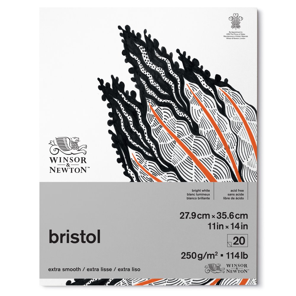 Winsor & Newton Papier Bristol Bloc 250g 27,9x35,6cm 20 Feuilles