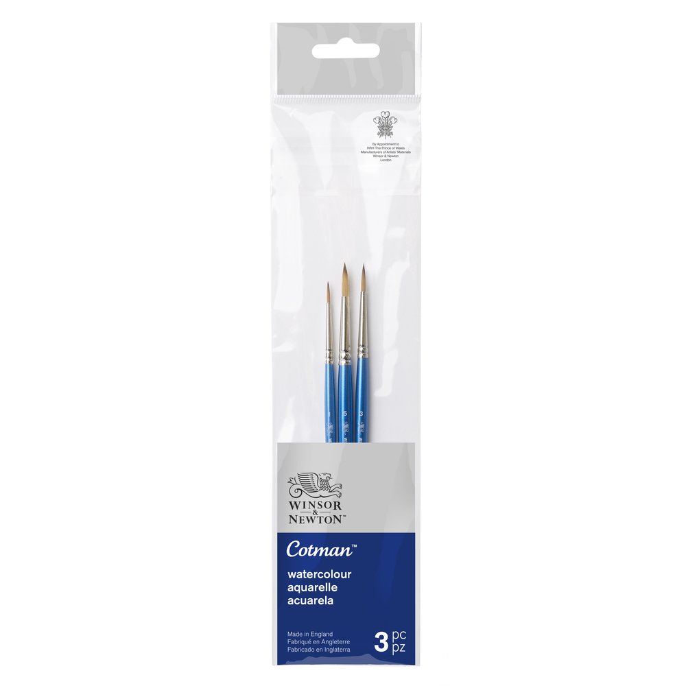 Winsor & Newton Cotman Pinceau Manche Court Pack x3 V1
