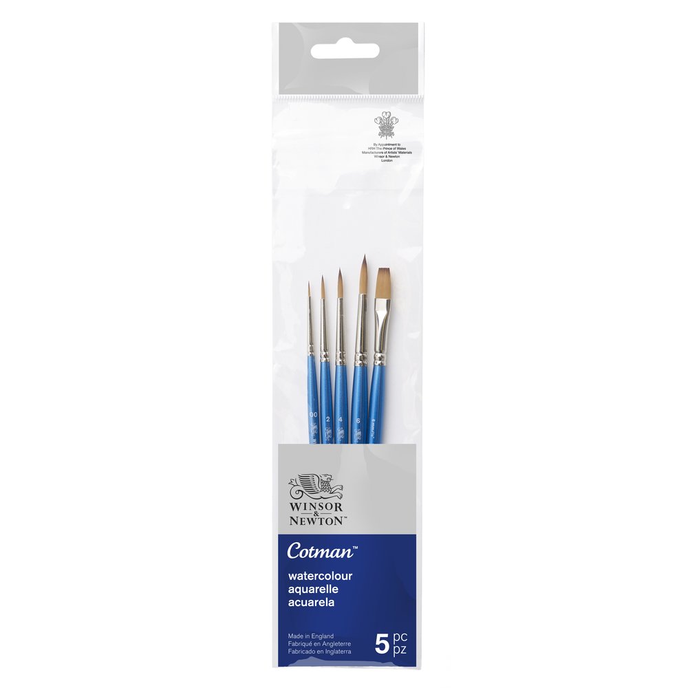 Winsor & Newton Cotman Pinceau Manche Court pack x5 V1