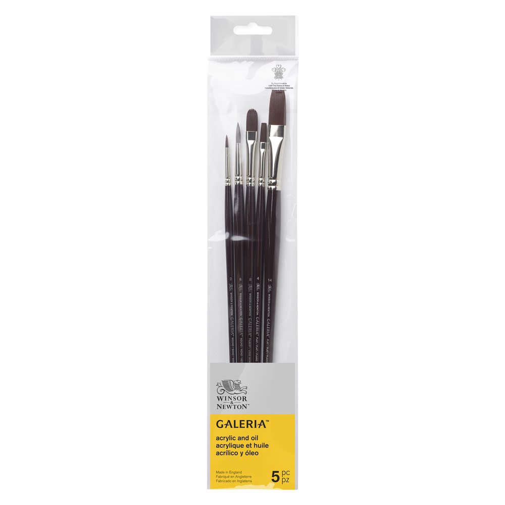 Winsor & Newton Galeria Pinceau Manche Long Pack 5 V1