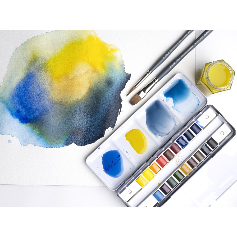 Winsor & Newton Aquarelle Professionnelle Boîte Métal De Voyage 18 Demi-Godets