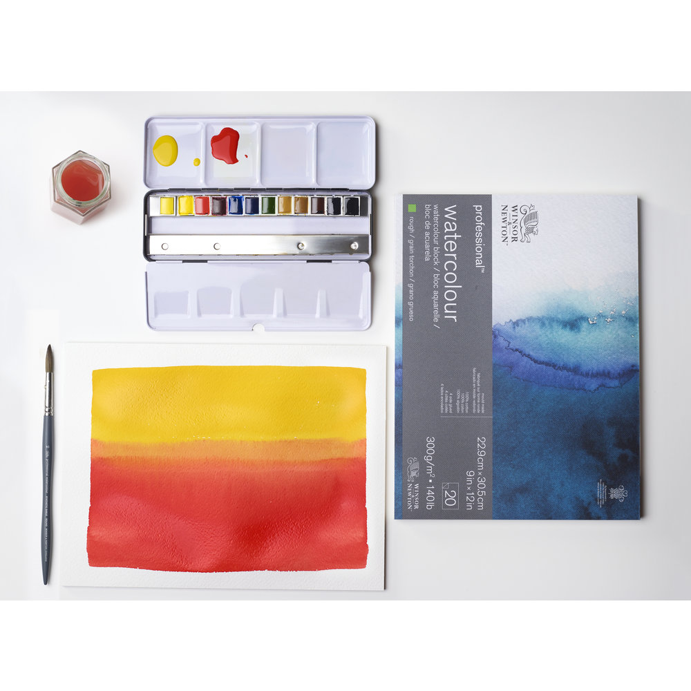 Winsor & Newton Aquarelle Professionnelle Boite Metal Black Box 12x1/2 Godets