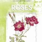 Lefranc Bourgeois Album Leonardo N°42 Roses