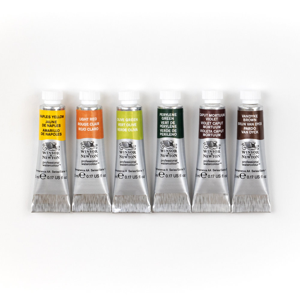 Winsor & Newton Professional Watercolour 6x5ml Tubes Set Terres Riches Row