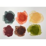 Winsor & Newton Professional Watercolour 6x5ml Tubes Set Terres Riches Row