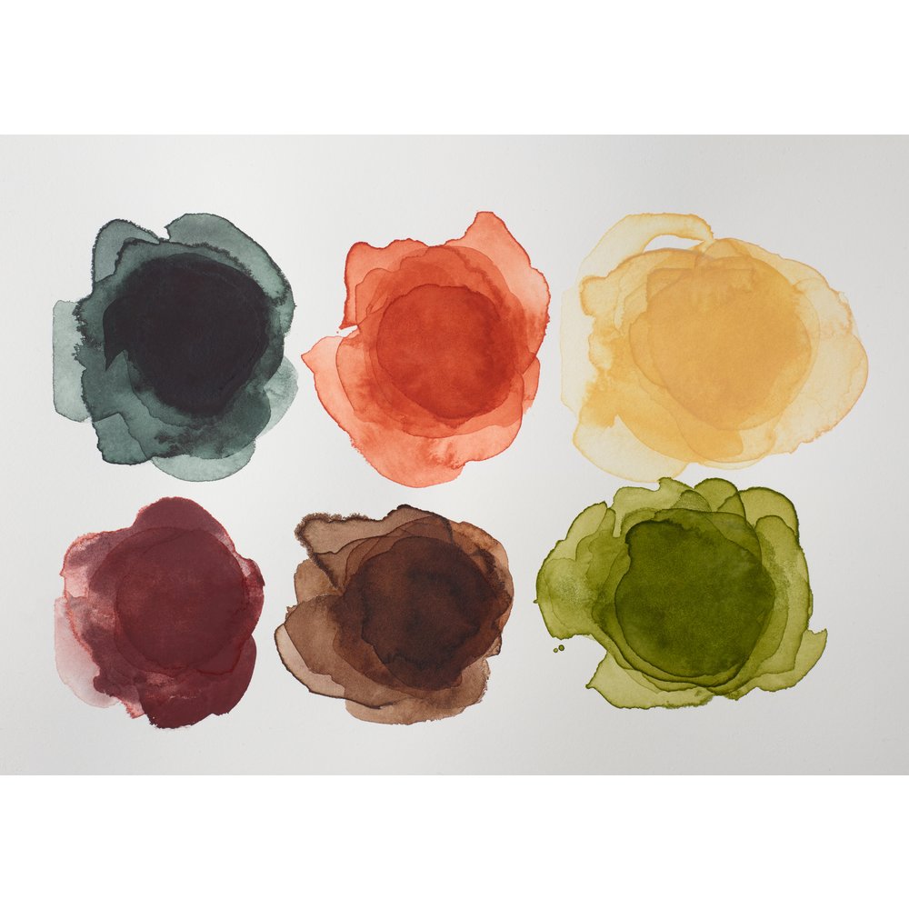 Winsor & Newton Professional Watercolour 6x5ml Tubes Set Terres Riches Row