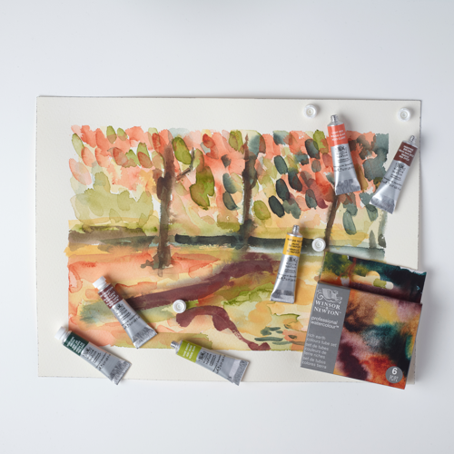 Winsor & Newton Professional Watercolour 6x5ml Tubes Set Terres Riches Row