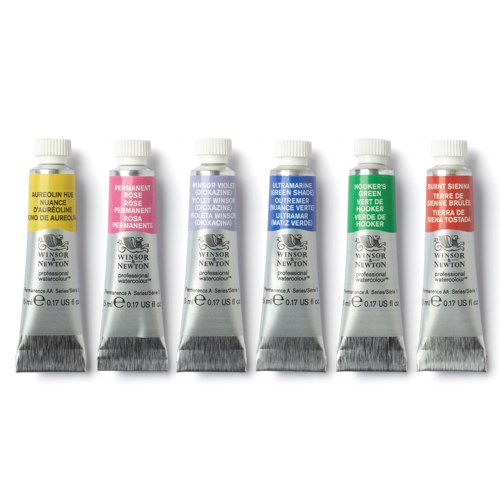 Winsor & Newton Professional Watercolour Set 6x5ml Couleurs Florales