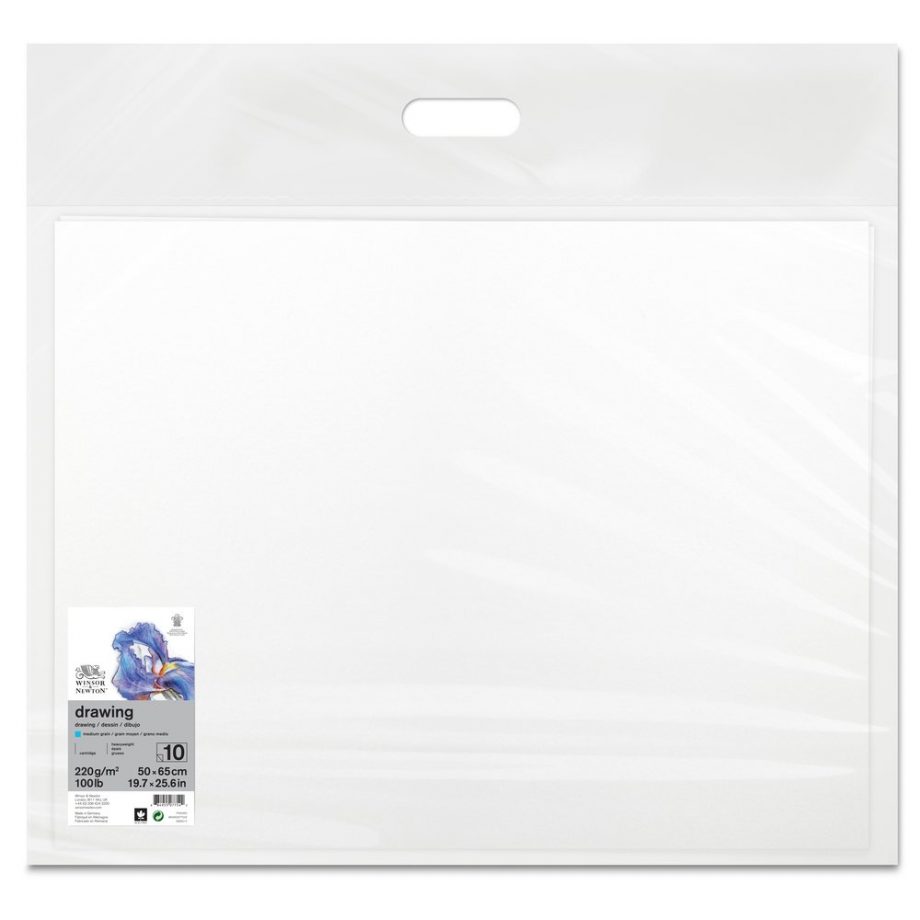 Winsor & Newton Carta Disegno - Foglio 220G - Grana Media - 50x65cm x10