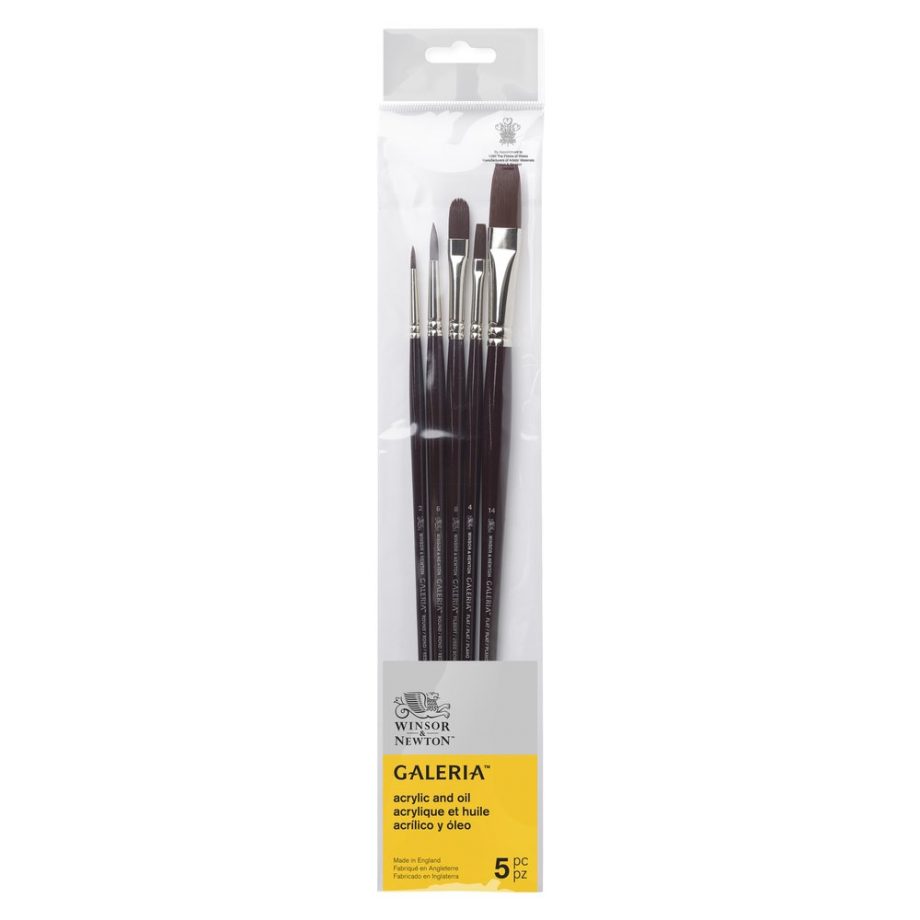 Winsor & Newton Set 5 Pennelli Galeria V1 - Manico Lungo