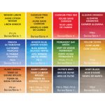 Winsor & Newton Professional Water Colour Field Set - Set Per Esterno - 14 Mezzi Godet