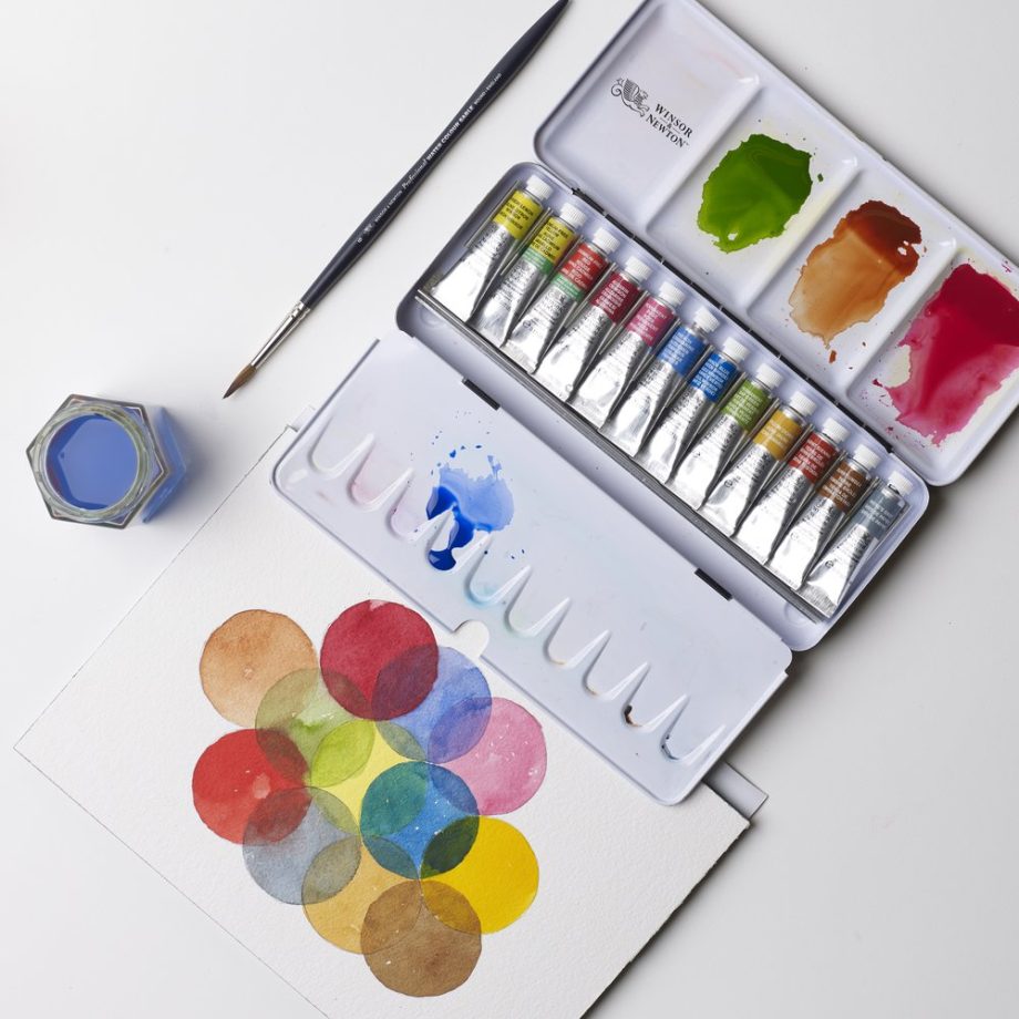 Winsor & Newton Professional Water Colour Travel Tin - 12 Tubi Da 5ml