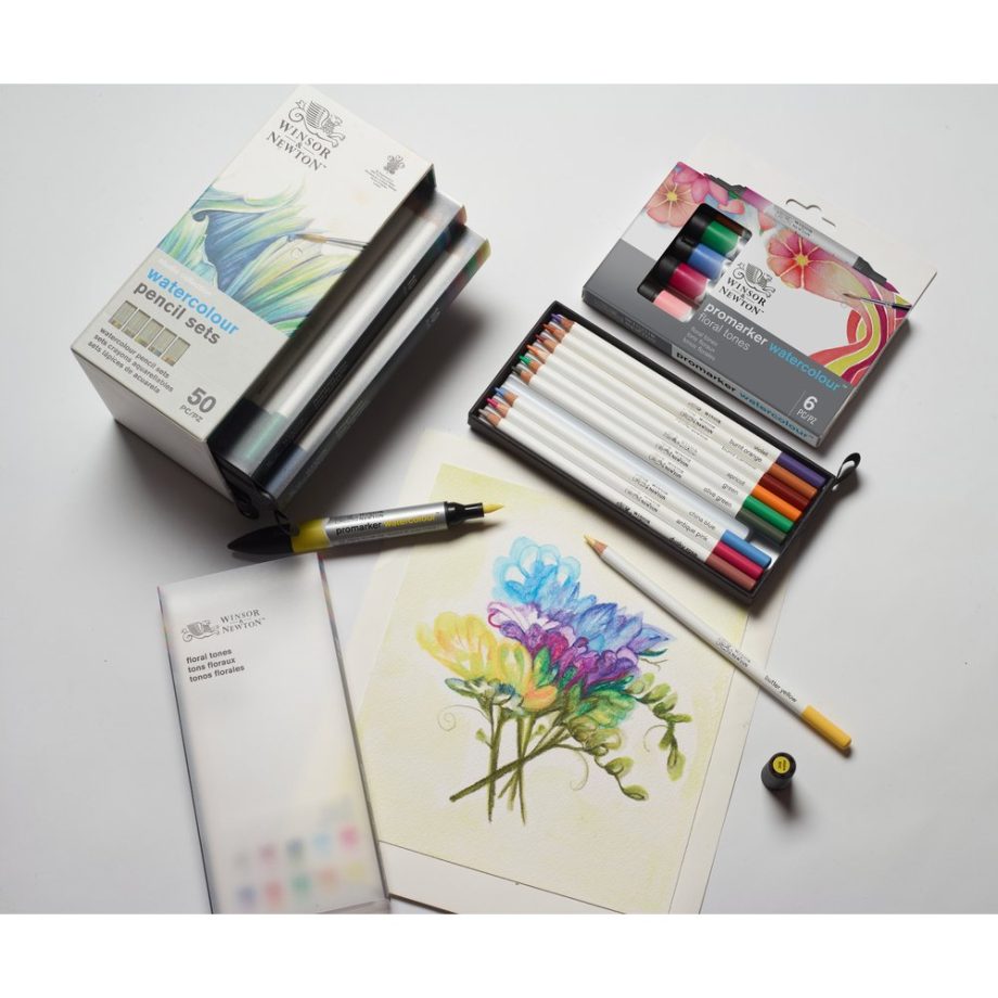 Winsor & Newton Studio Collection - Confezione 50 Matite Acquarellabili