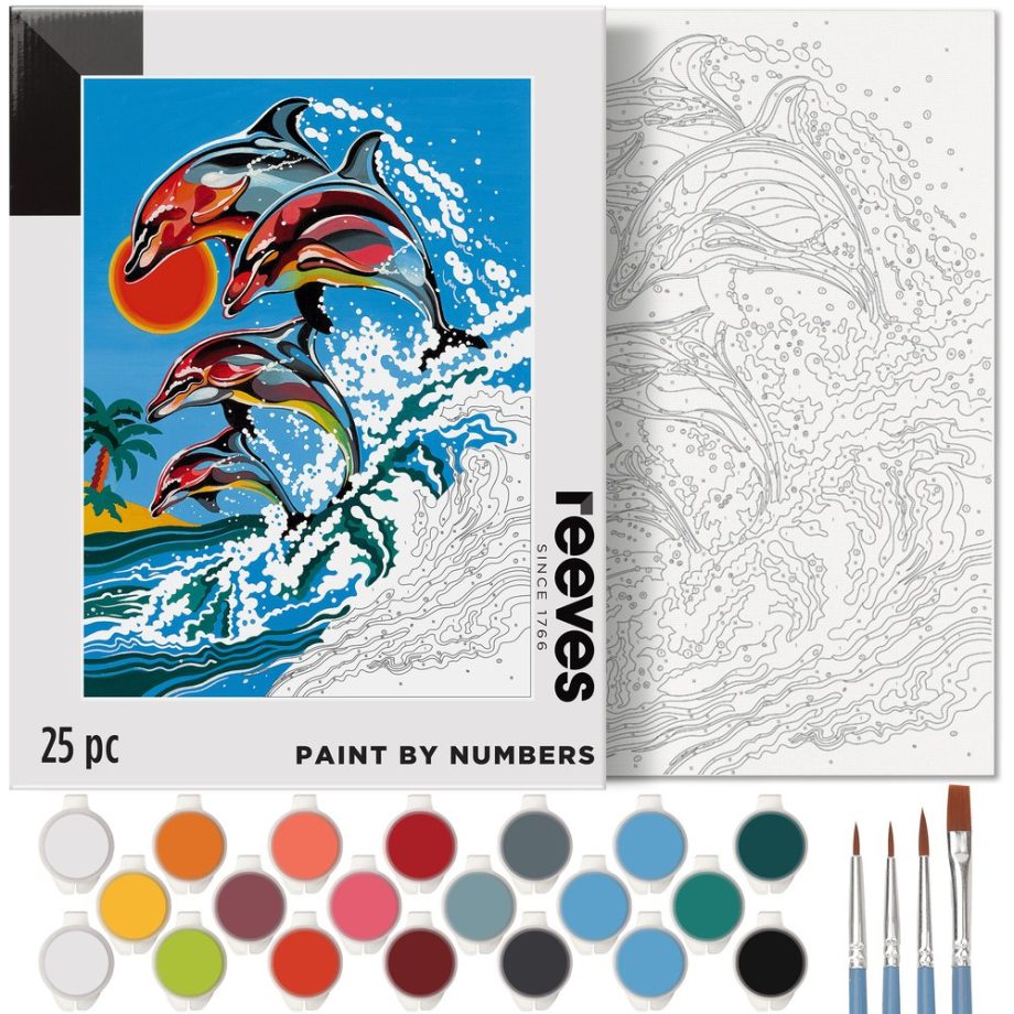 reeves Paint By Numbers 30,5 x 40,6 Cm - Delfini
