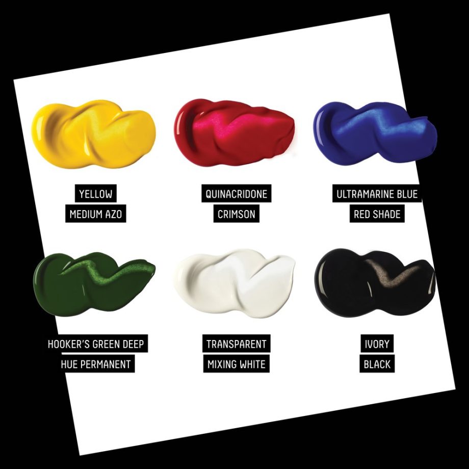 Liquitex Acrilico Soft Body Set 6x22ml Colori Misti