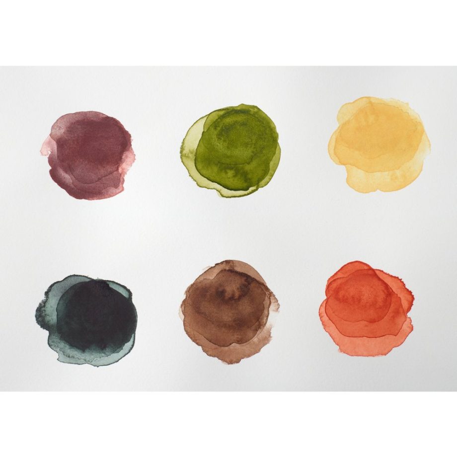 Winsor & Newton Professional Watercolour Set Tubi 6x5ml Toni Della Terra