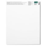 Winsor & Newton  Carta Bristol - Blocco 250G - 27,9 x 35,6 cm - 20F