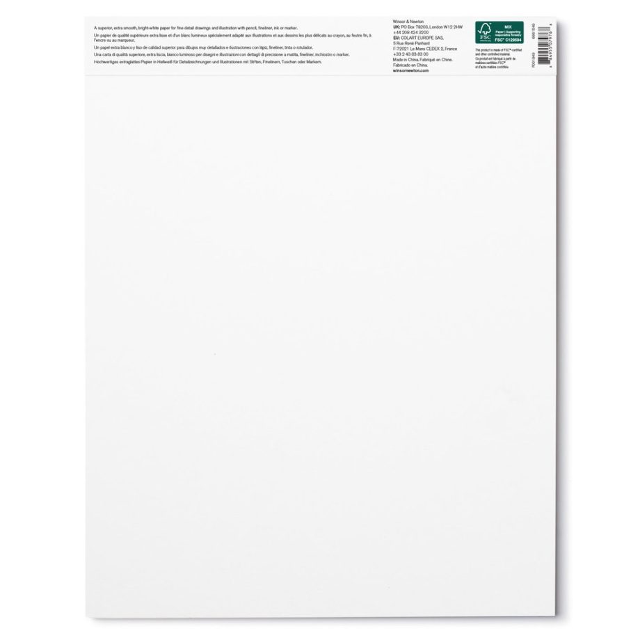 Winsor & Newton  Carta Bristol - Blocco 250G - 27,9 x 35,6 cm - 20F