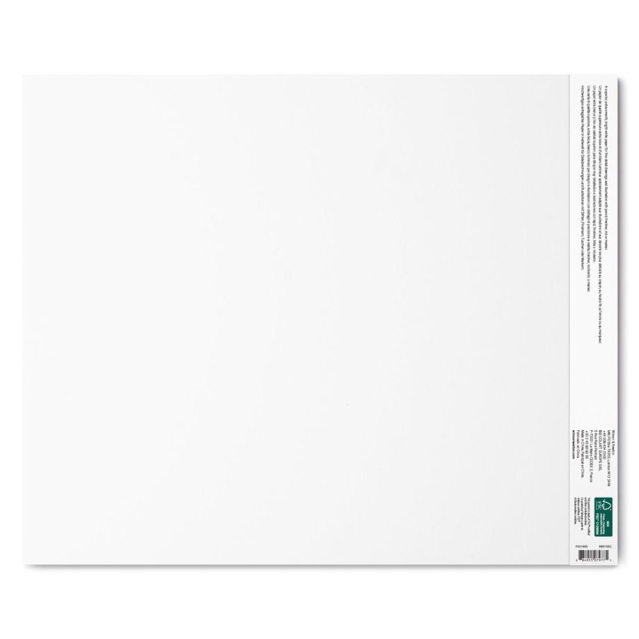 Winsor & Newton Carta Bristol - Blocco 250G - 35,6 x 43,2 cm - 20F