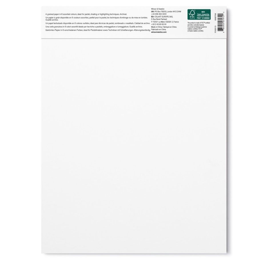 Winsor & Newton Pastello Blocco 160G - 22,9 x 30,5 cm - 24 Fogli - 6 Colori Terre
