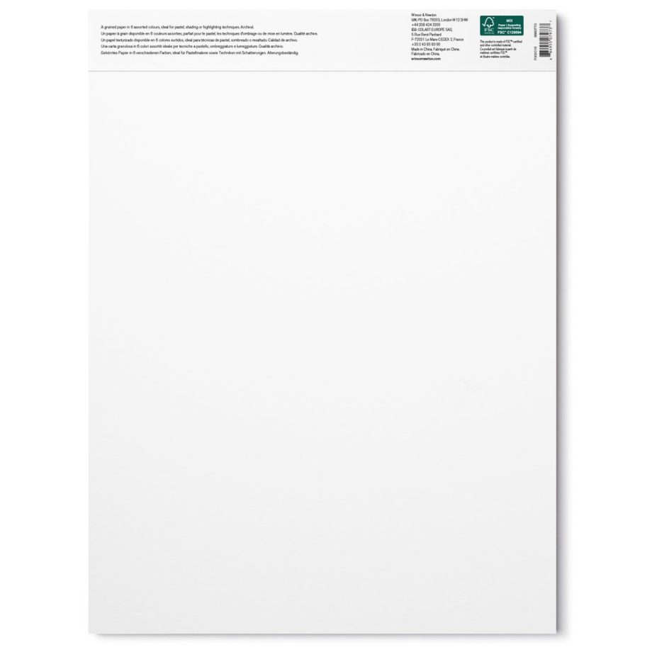 Winsor & Newton Pastello Blocco 160G - 30,5 x 40,6 cm - 24 Fogli - 6 Colori Terre
