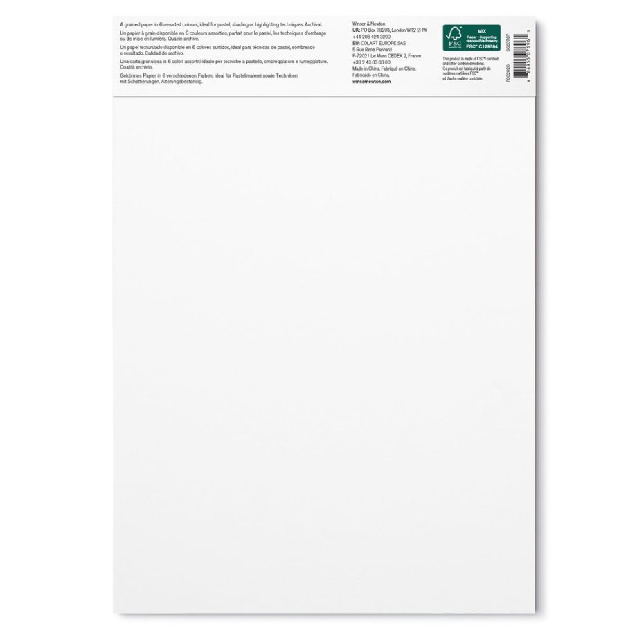 Winsor & Newton Pastello Blocco 160G - A4 - 24 Fogli - 6 Colori Grigi