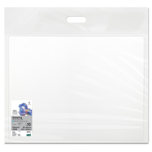 Winsor & Newton Carta Disegno - Foglio 220G - Grana Media - 50x65cm x10