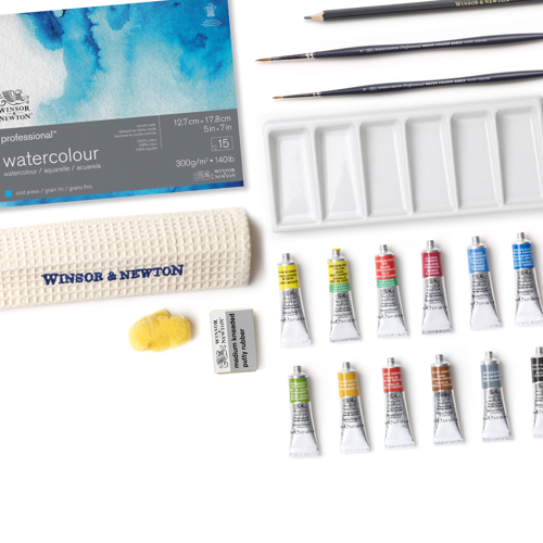 Winsor & Newton Professional Watercolour Confezione Studio Case Tubi