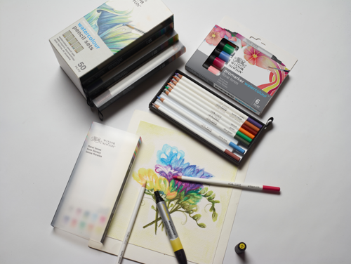 Winsor & Newton Studio Collection - Confezione 50 Matite Acquarellabili