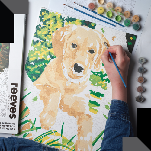 reeves Paint By Numbers 30,5 x 40,6 Cm - Labrador