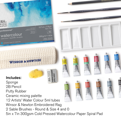 Winsor & Newton Professional Watercolour Confezione Studio Case Tubi