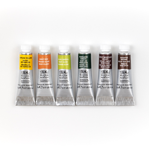 Winsor & Newton Professional Watercolour Set Tubi 6x5ml Toni Della Terra