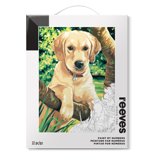 reeves Paint By Numbers 30,5 x 40,6 Cm - Labrador