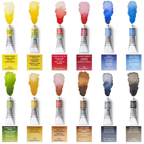 Winsor & Newton Professional Watercolour Confezione Studio Case Tubi